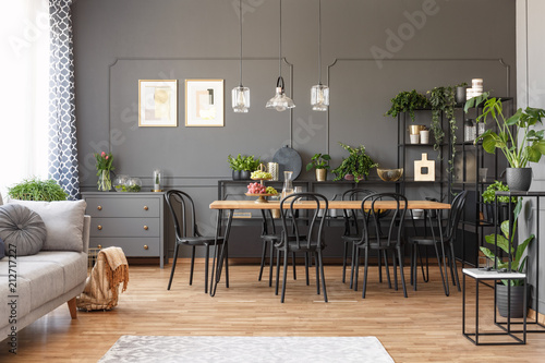 Open space apartment interior with black chairs at a wooden table in the dining area and metal racks with plants against dark wall with molding. Real photo