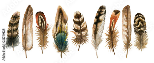 Watercolor hand drawn isolated set of brown feathers