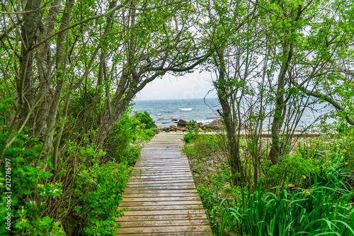 Beach Ocean Path Boardwalk Forest Trees Padnaram Dartmouth Massachusetts