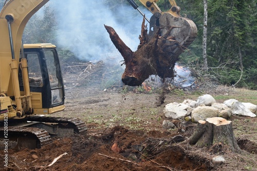 Excavator holding up tree stump