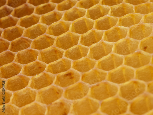 Wax hexagonal bee honeycomb texture