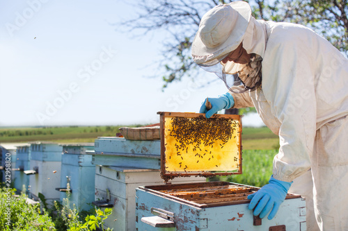 Beekeeper is working with bees and beehives on the apiary. Beekeeper on apiary.