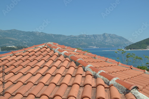 roof