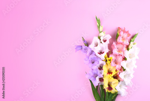 Beautiful gladiolus flowers on trendy pink background.