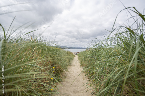 Path in grass to the beach. Blur background and front grass.