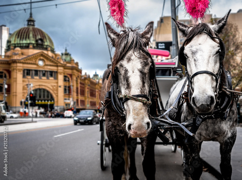 horse ride in the city of melbourne