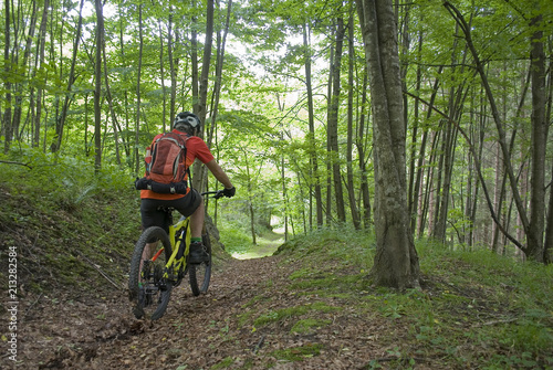 man uses an electric bicycle, e-bike, ebike, pedal on a dirt road, forest, during summer, mountain, sport, adventure, freedom, Alps, Macugnaga, Piedmont, Italy