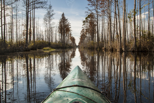 Kayaking in bayou