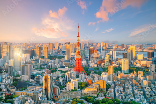 Tokyo skyline with Tokyo Tower in Japan