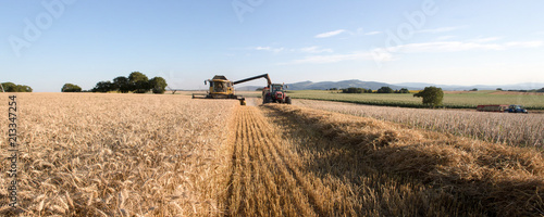 Panorama récolte, moisson du blé