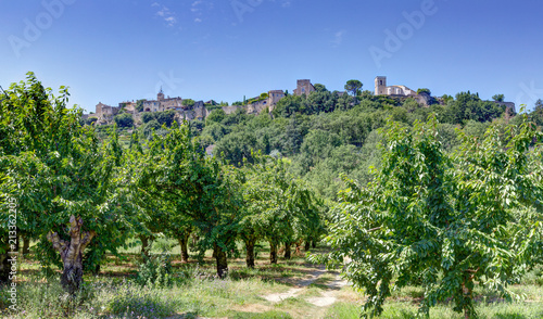 Vue de Menerbes en Luberon - vaucluse - Provence