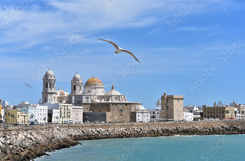 The Cupola of Cadiz Cathedral, (Catedral Nueva) viewed along the Campo del Sur promenade in Cadiz, Andalusia, Spain