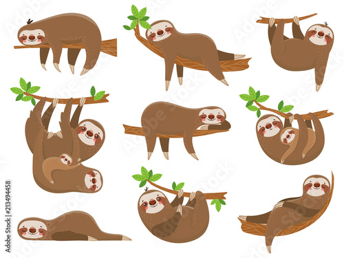 Cartoon sloths family. Adorable sloth animal at jungle rainforest. Funny animals on tropical forest trees vector set