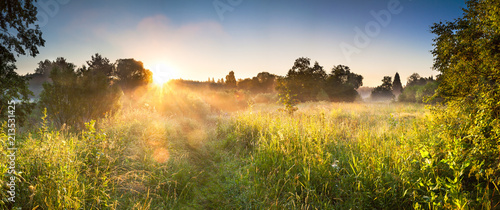 landscape panorama with sunrise and forest and meadow