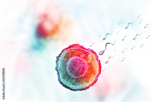 Human egg cell on science background