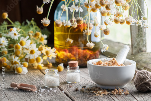 Mortar of dried healing herbs, homeopathic globules, bottle of oil or infusion and bunches of dry chamomile plant. Homeopathy and herbal medicine.