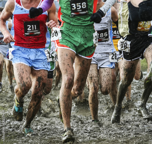Runners racing in the mud for cross country