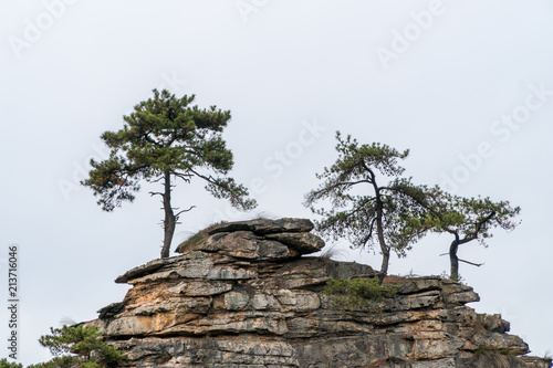 Landscape of Zhangjiajie. Taken from Old House Field. Located in Wulingyuan Scenic and Historic Interest Area which was designated a UNESCO World Heritage Site as well as AAAAA scenic area in china.