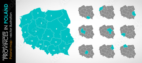 Wektorowa mapa województw w Polsce - KOLOR 