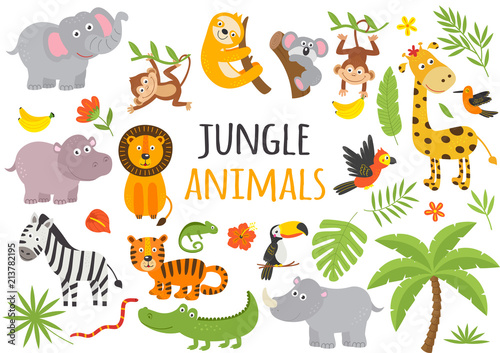 set of isolated jungle animals and tropical plants - vector illustration, eps