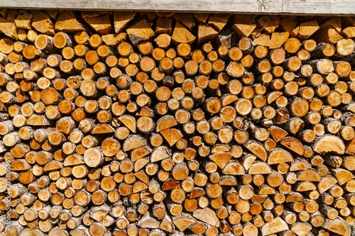 Wall of woodpile in forest.