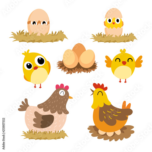 chick vector collection design