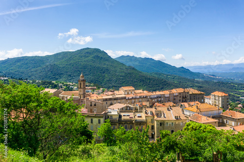 Landscape on Corsica island, beautiful view of Calvi town with castle on hill in summertime, France