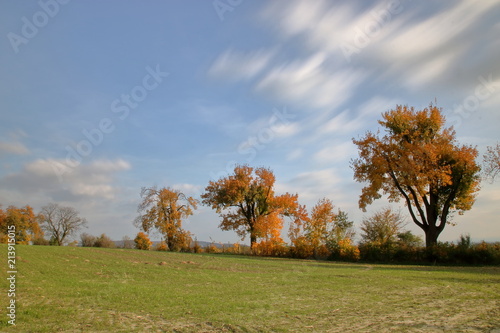 Jesienny pejzaż, krajobraz, bladozielone pole, kilka drzew z liśćmi w jesiennych barwach, błękitne niebo z szybko sunącymi chmurami, długie naświetlanie