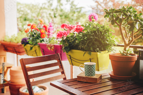 Cozy summer balcony with many potted plants, cup of tea and old vintage book