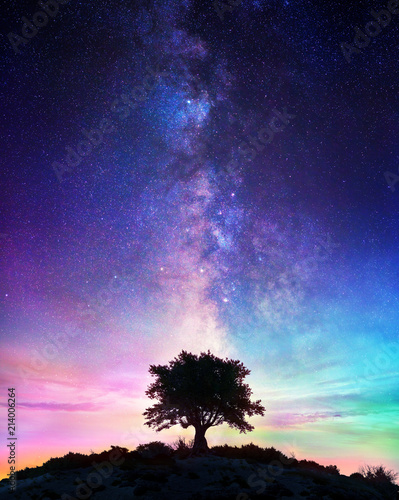 Starry Night - Lonely Tree With Milky Way