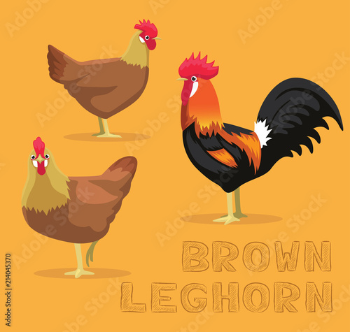 Chicken Brown Leghorn Cartoon Vector Illustration