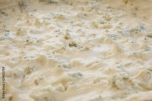 close up on gorgonzola cheese