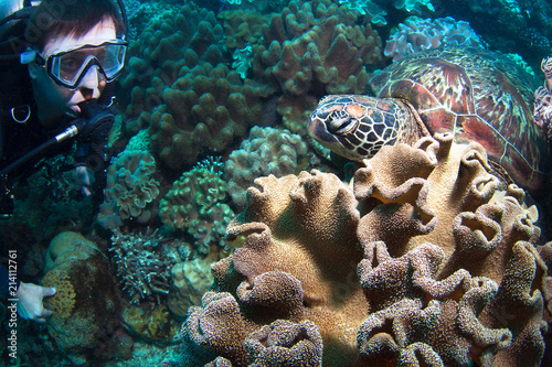 Sea Turtle and Scuba Diver.