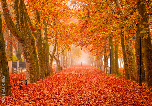 Nice autumnal scene at lake Balaton