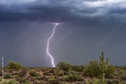 Lightning bolt strikes from a monsoon thunderstorm in the Arizona desert.