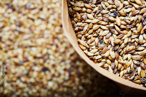 Barley malt - Castel Malting of the type, used for the production of craft and home beer.