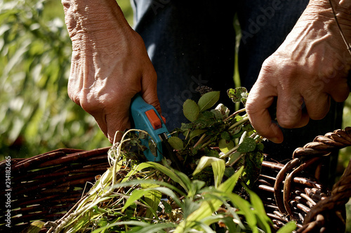 Seniorin bei der Gartenarbeit