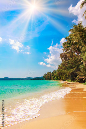 beautiful beach and tropical sea. Palm and tropical beach