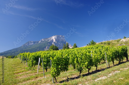 campagne de savoie