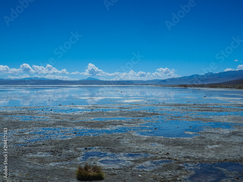 Altiplanic High Altitude Lake in Bolivia Desert, Uyuni