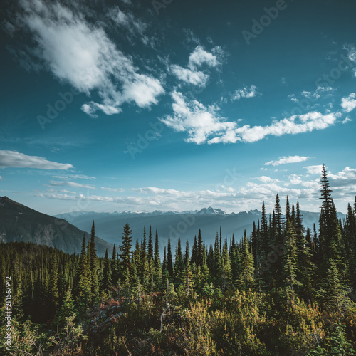 View from Mount Revelstoke across forest with blue sky and clouds. British Columbia Canada.