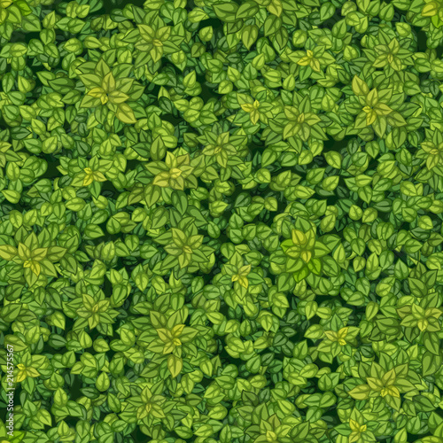 Бесшовная векторная текстура зеленой древесной листвы