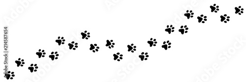 Paw vector foot trail print of cat. Dog, puppy silhouette animal diagonal tracks for t-shirts, backgrounds, patterns, websites, showcases design, greeting cards, child prints and etc.