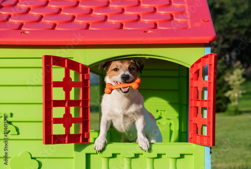 Happy dog in doghouse holding toy bone in mouth