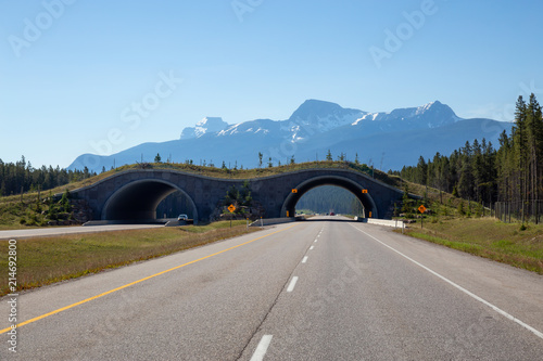 Animal crossing bridge across Trans-Canada Highway in Banff National Park, Alberta, Canada.