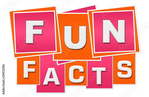 Fun Facts Orange Pink Squares Stripes 