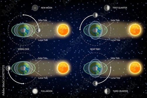 Lunar and Solar tides diagram vector illustration