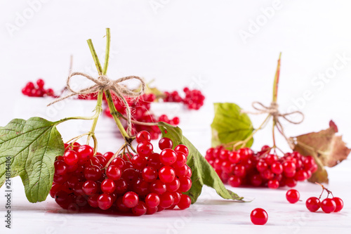 Bunch of fresh ripe organic viburnum berries on white background. Ingredients for vitamin healthy beverage