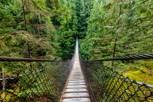 Lynn Canyon Suspension Bridge