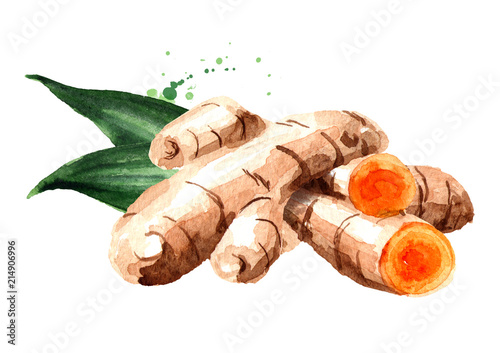 Turmeric root and green leaf. Watercolor hand drawn illustration, isolated on white background